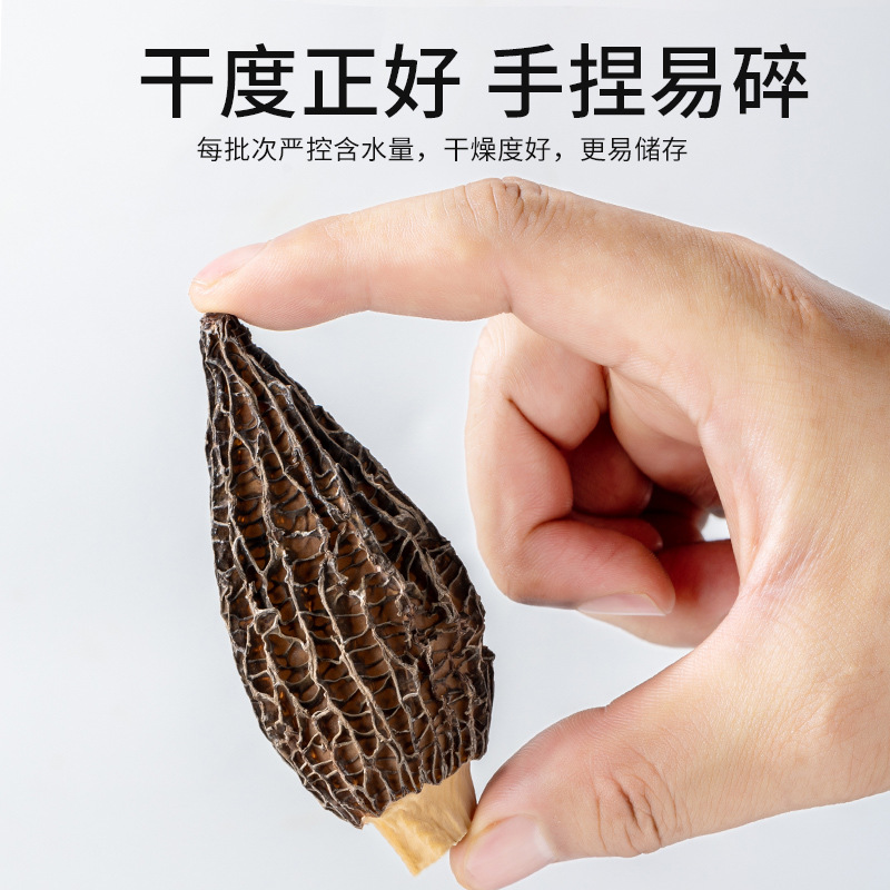 羊肚菌