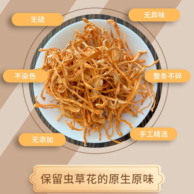 虫草花图片 1