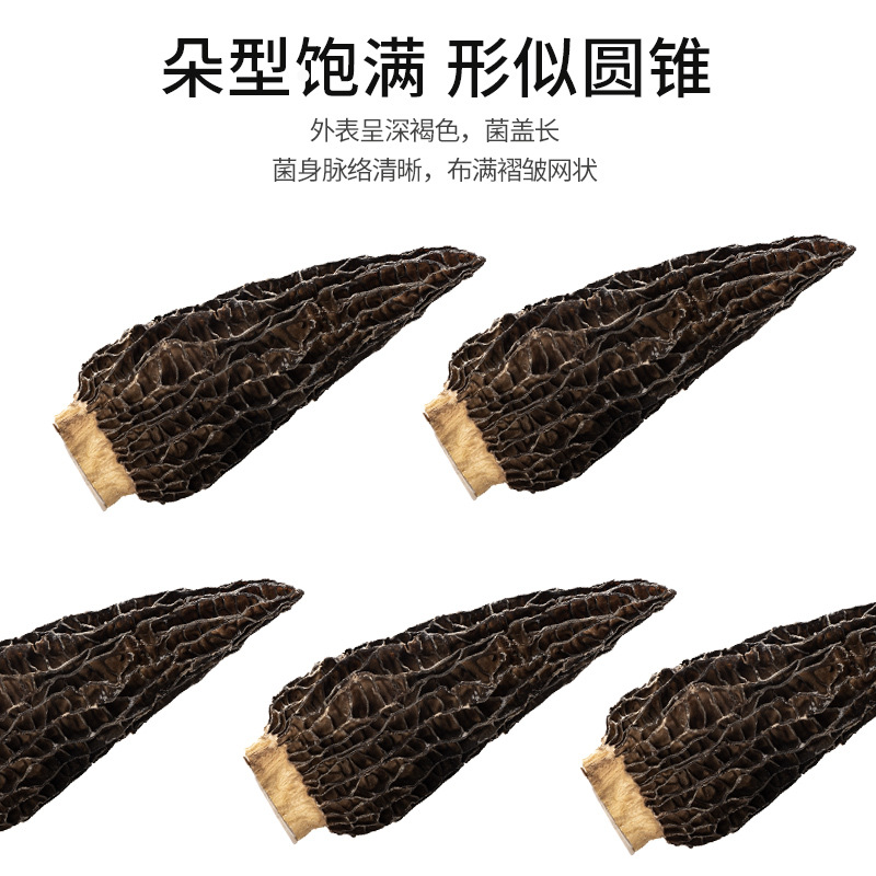 羊肚菌缩略图 2