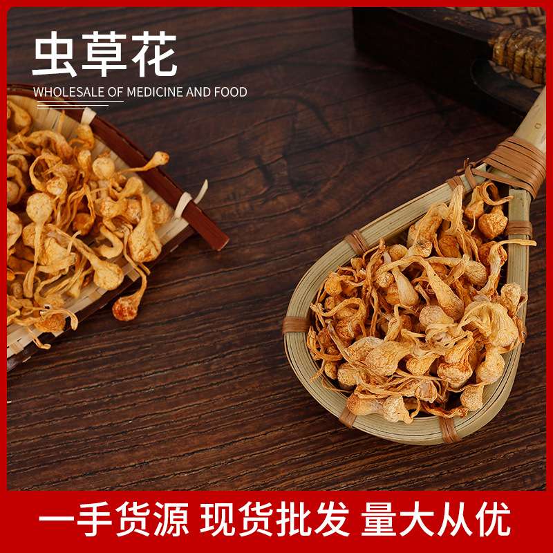 孢子头