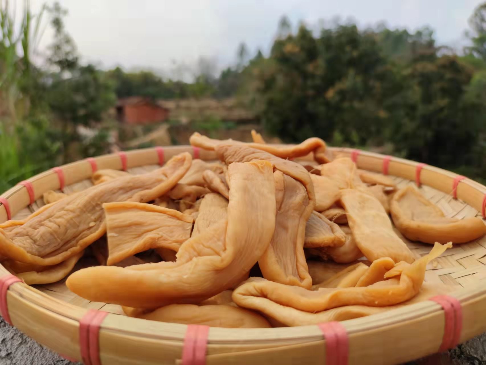 广东潮汕特产老菜脯脆萝卜干农家自制腌老萝卜干下饭咸菜散装包邮