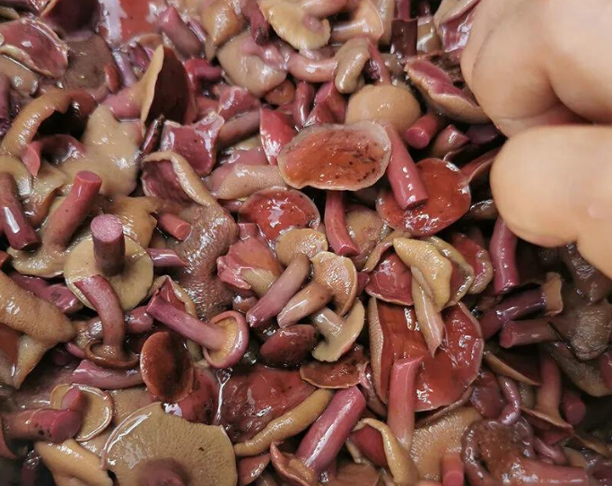 红乳牛肝菌野生菌云南特产松树菌新鲜速冻涮火锅1kg美味蘑菇滑嫩缩略图 2
