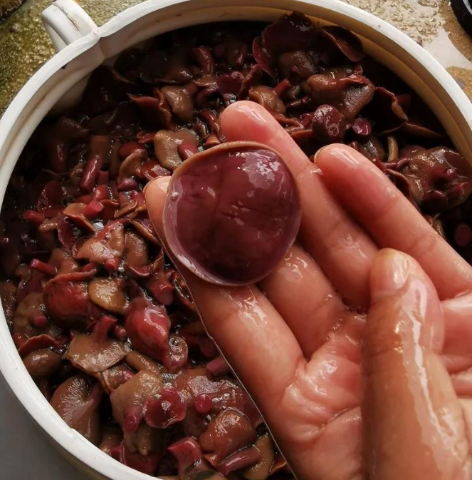 红乳牛肝菌野生菌云南特产松树菌新鲜速冻涮火锅1kg美味蘑菇滑嫩缩略图 4