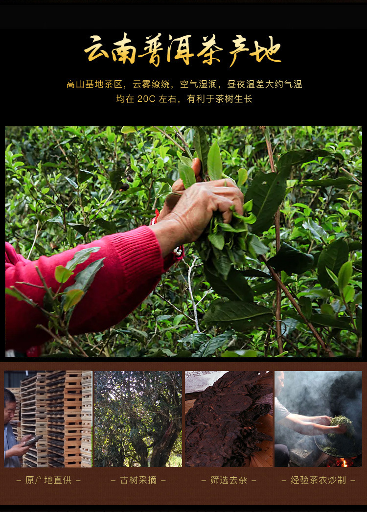 普洱茶批发云南特产普洱茶缩略图 2