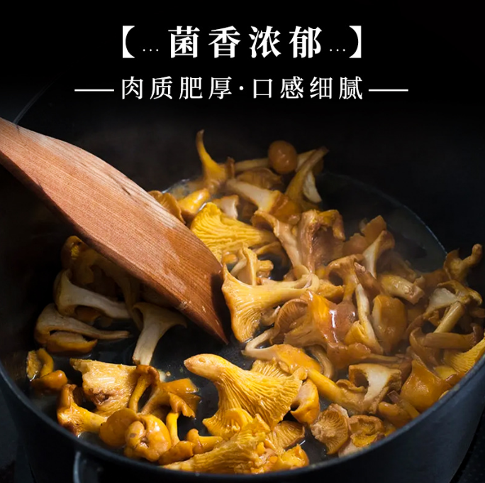 鸡油菌源头基地直供云南特产食用菌黄丝菌煲汤榆黄菇干货蘑菇批发