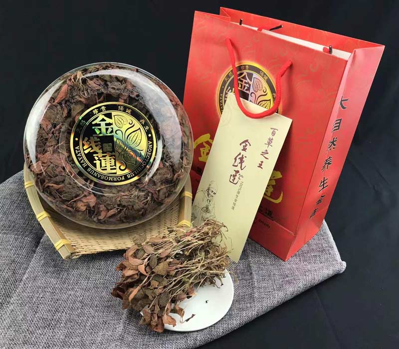 林下种植12个月金线莲干品